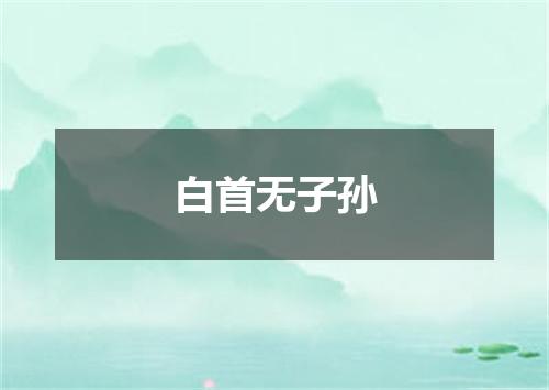 白首无子孙