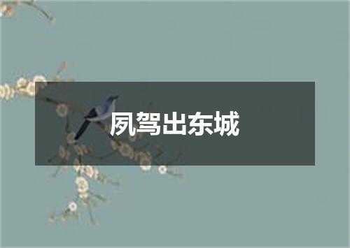 夙驾出东城