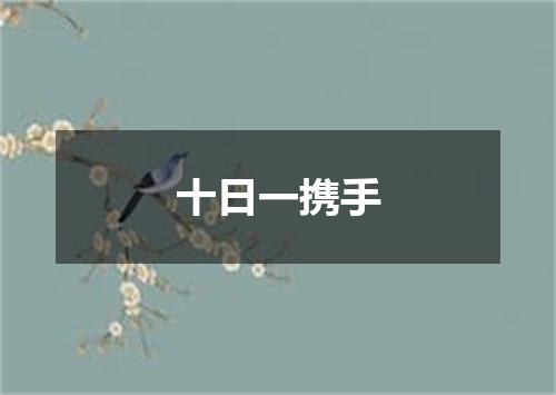 十日一携手