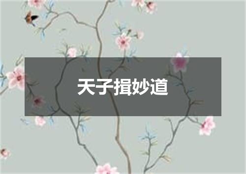 天子揖妙道