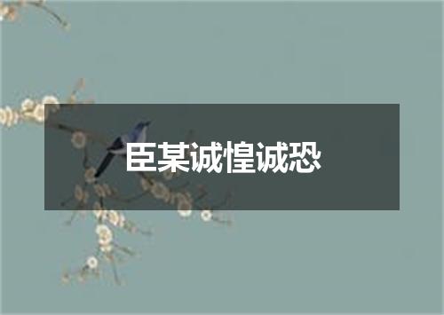 臣某诚惶诚恐