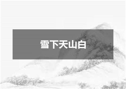 雪下天山白