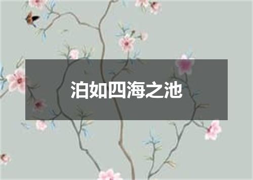 泊如四海之池