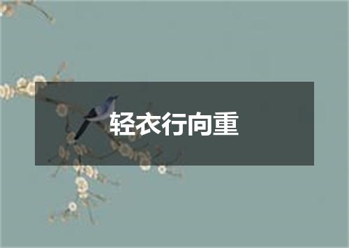 轻衣行向重