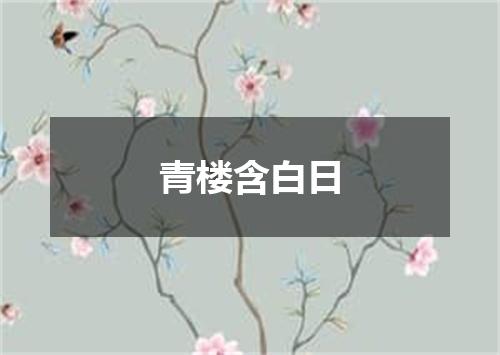 青楼含白日