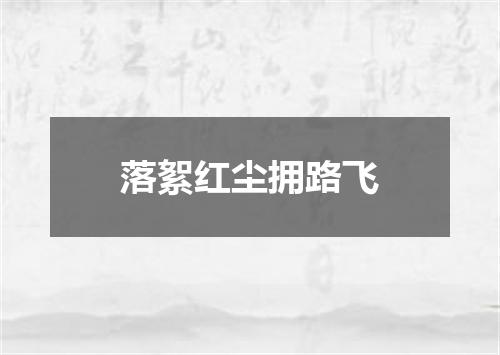 落絮红尘拥路飞