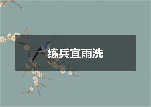 练兵宜雨洗