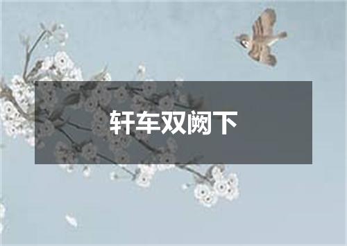 轩车双阙下