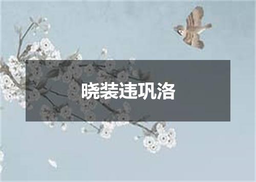 晓装违巩洛