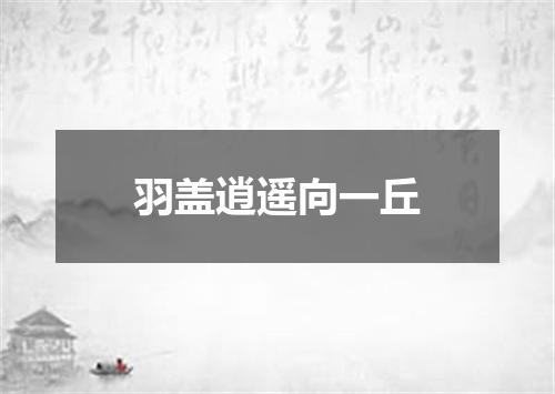 羽盖逍遥向一丘