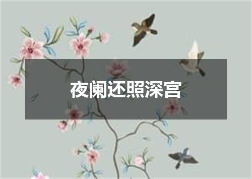 夜阑还照深宫