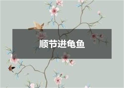 顺节进龟鱼