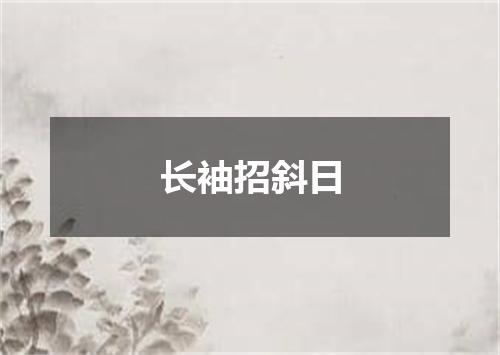 长袖招斜日