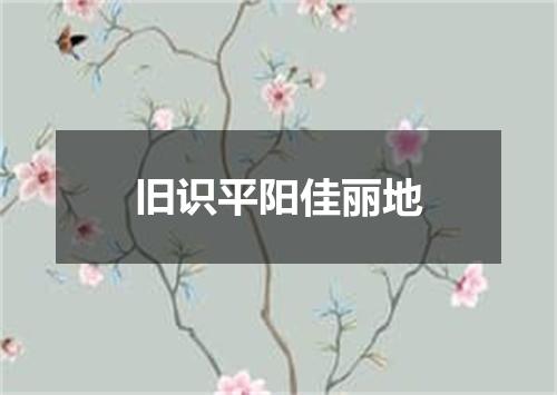 旧识平阳佳丽地