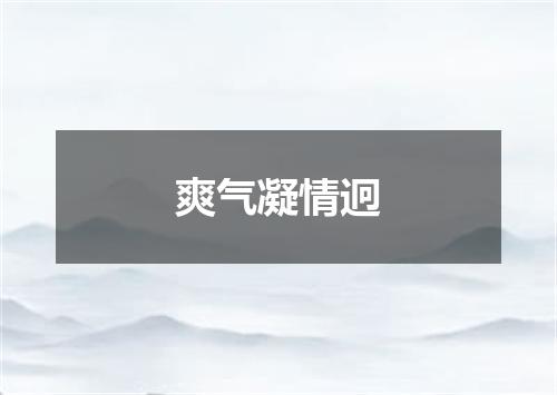 爽气凝情迥