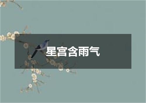 星宫含雨气