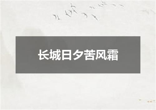 长城日夕苦风霜