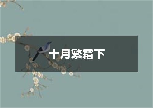 十月繁霜下