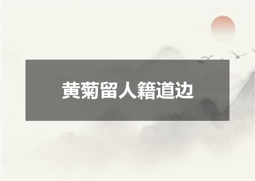 黄菊留人籍道边