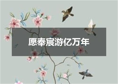 愿奉宸游亿万年