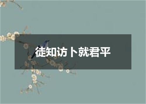 徒知访卜就君平