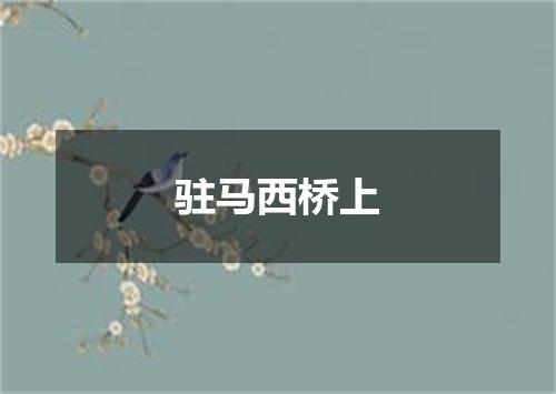 驻马西桥上