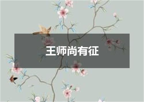 王师尚有征