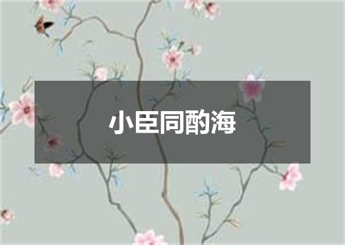 小臣同酌海