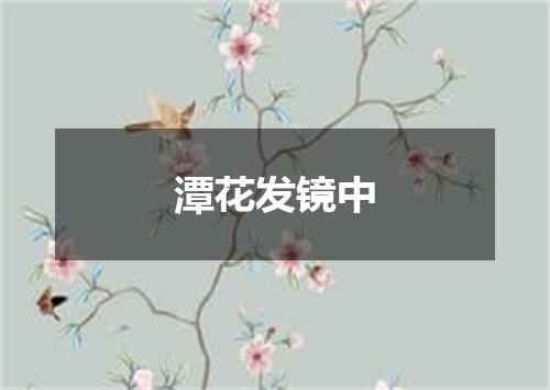 潭花发镜中