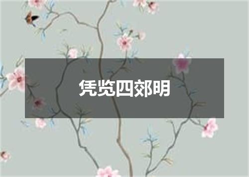 凭览四郊明