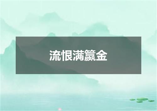 流恨满籝金