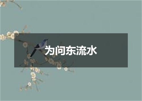 为问东流水