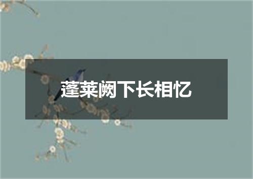 蓬莱阙下长相忆