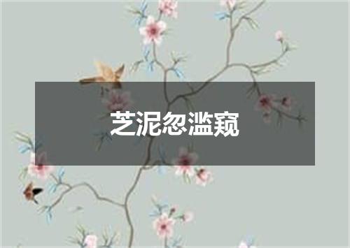 芝泥忽滥窥