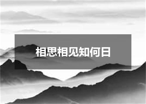 相思相见知何日