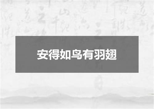 安得如鸟有羽翅