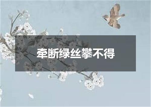 牵断绿丝攀不得