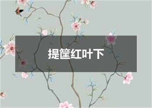 提筐红叶下