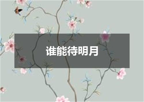 谁能待明月