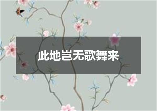 此地岂无歌舞来