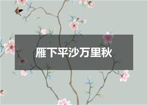 雁下平沙万里秋