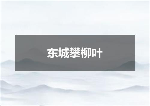 东城攀柳叶