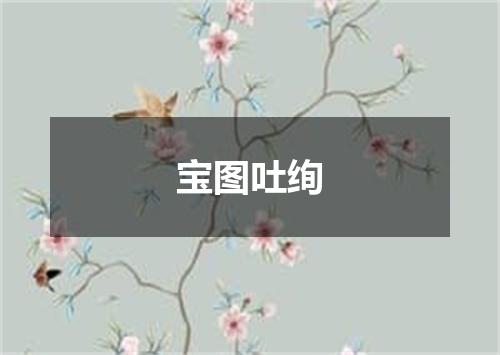 宝图吐绚