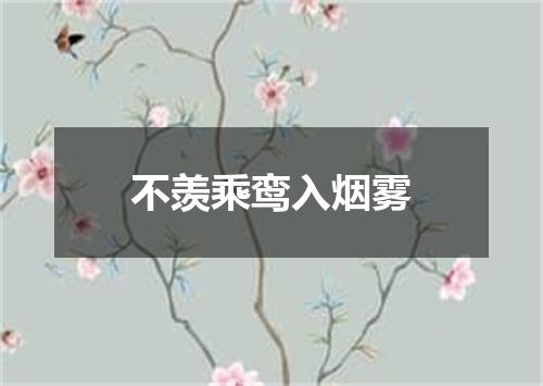 不羡乘鸾入烟雾