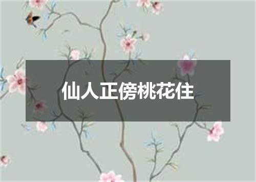 仙人正傍桃花住