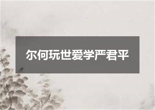 尔何玩世爱学严君平