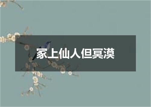 冢上仙人但冥漠