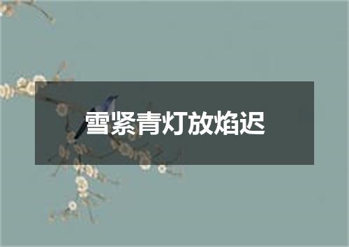 雪紧青灯放焰迟