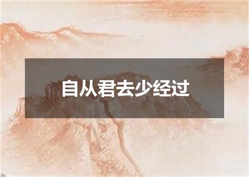 自从君去少经过