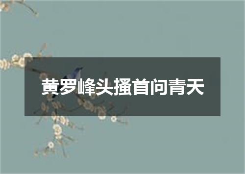 黄罗峰头搔首问青天